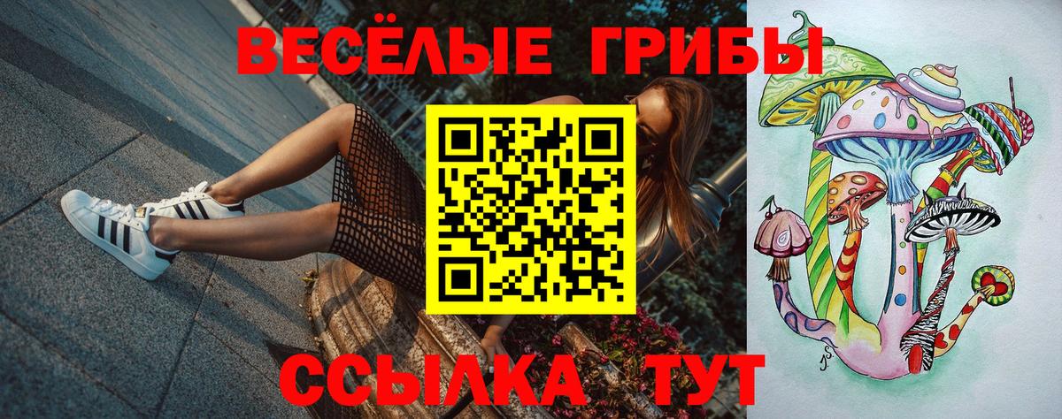 Псилоцибиновые грибы прущие грибы Приморско-Ахтарск