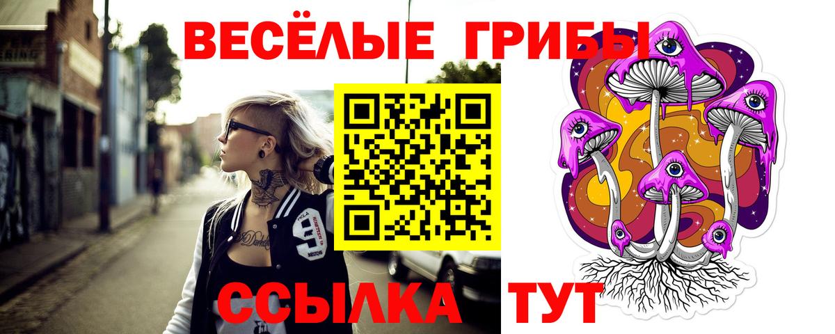 Галлюциногенные грибы Psilocybe  Вход с VPN  закладки  Приморско-Ахтарск 
